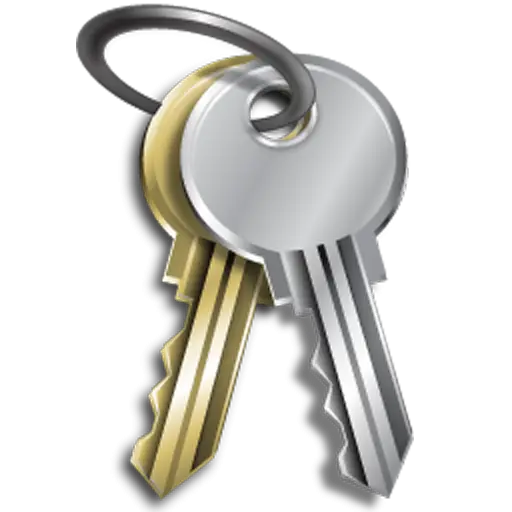 Keychain with Gold and Silver Keys