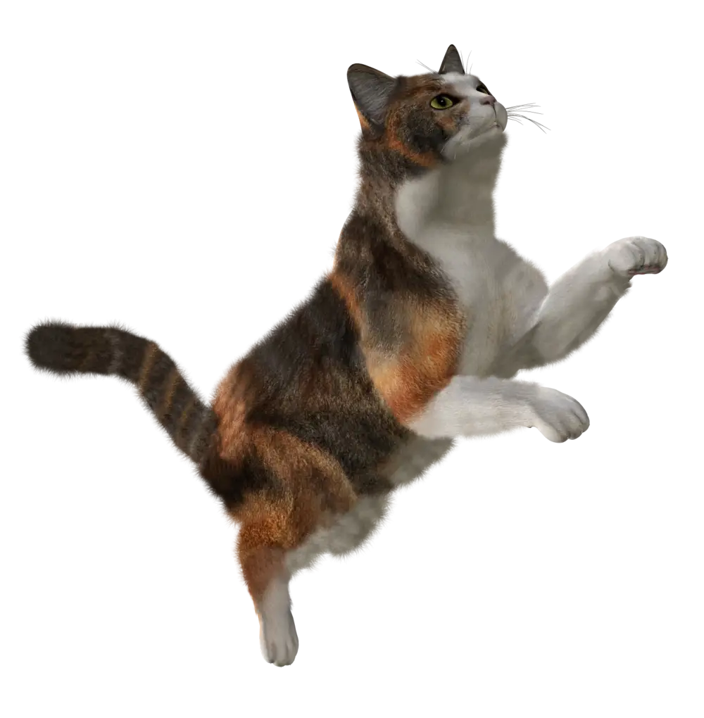 Playful Cat Jumping Illustration