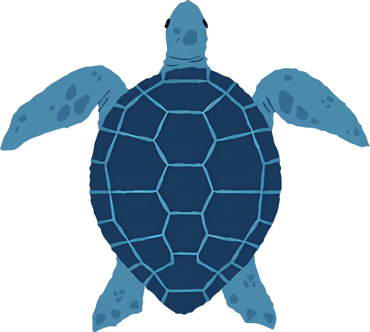 Blue Sea Turtle Illustration