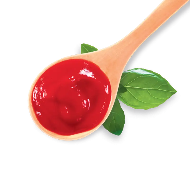 Tomato Sauce on Wooden Spoon