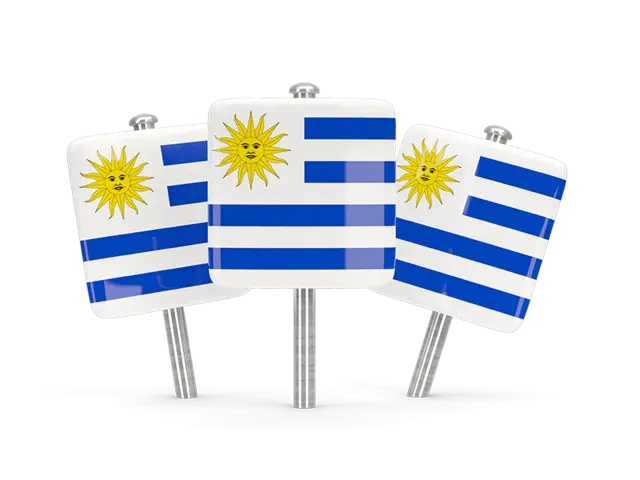 Uruguay Flag Pins Representation