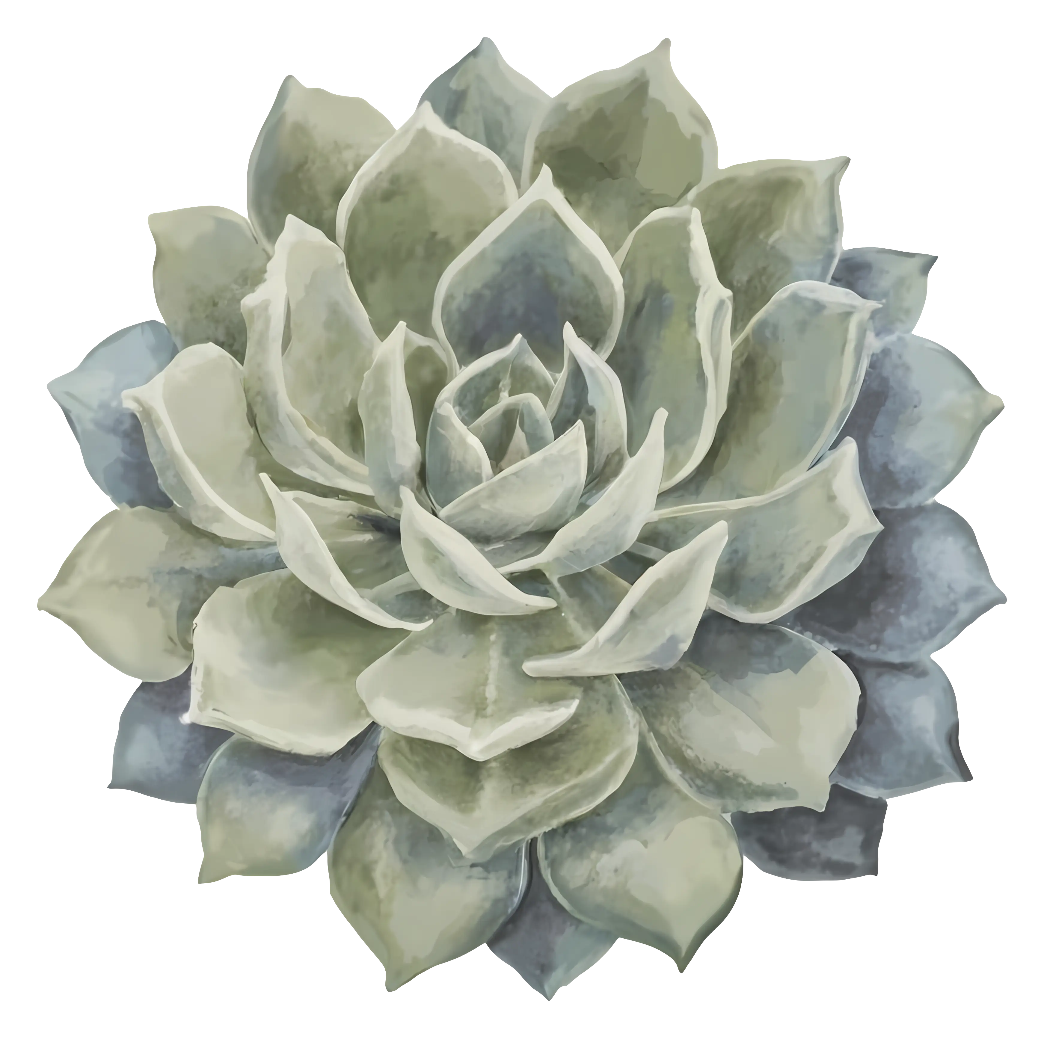 Realistic Succulent Plant