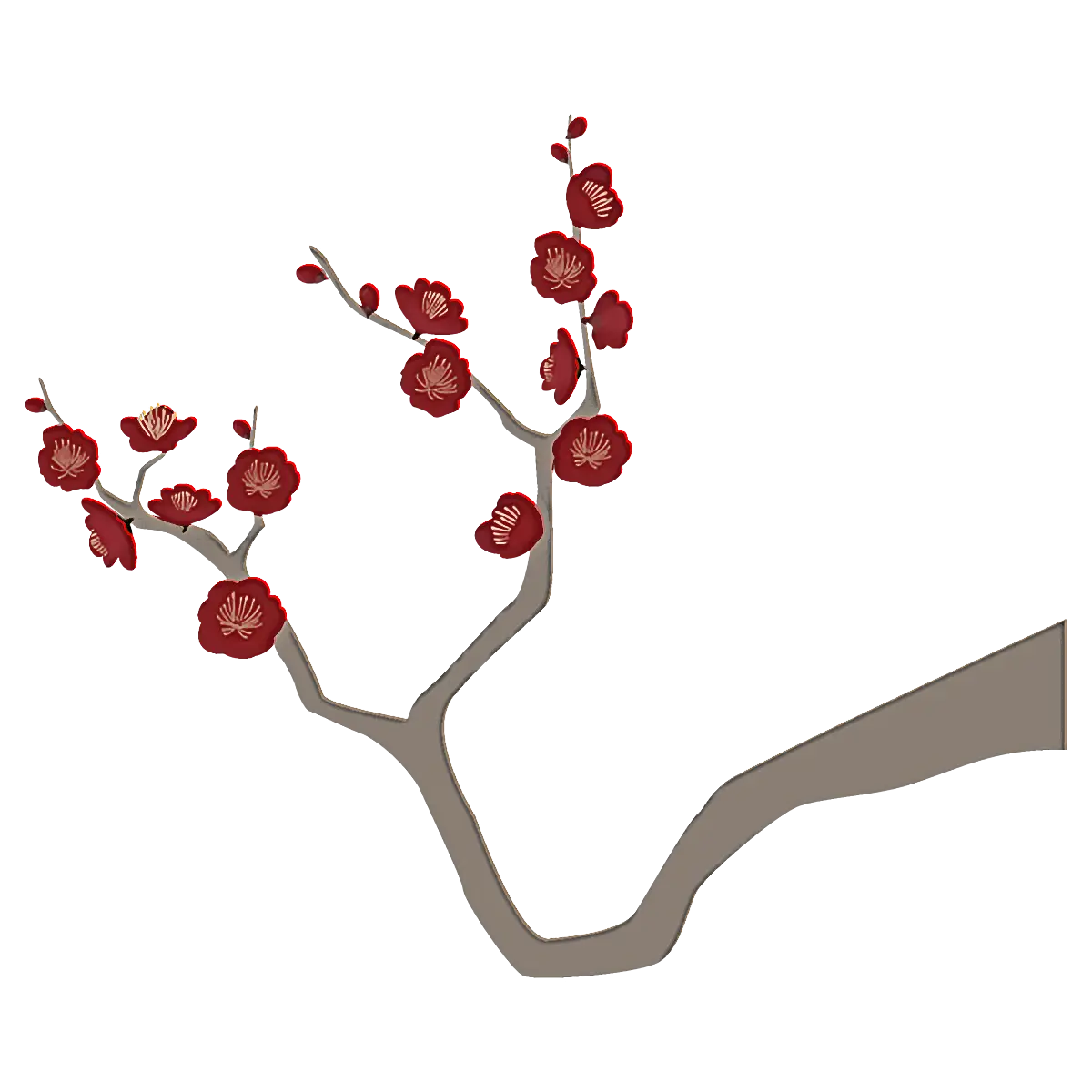 Red Cherry Blossom on Branch