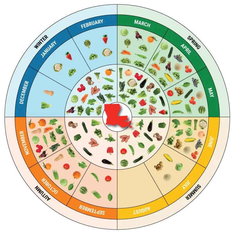 Seasonal Vegetables and Fruits Chart