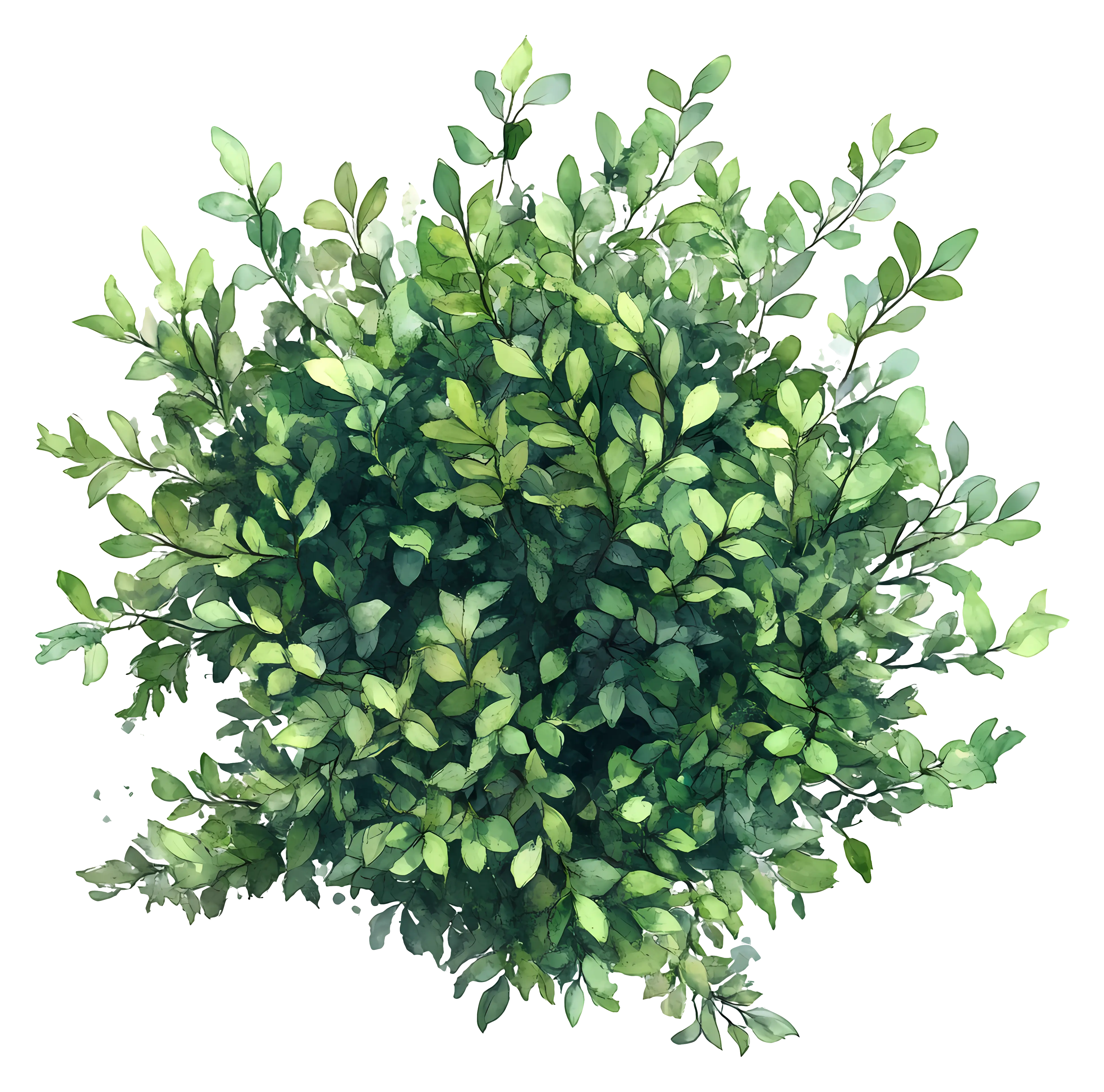 Green Bush with Lush Leaves