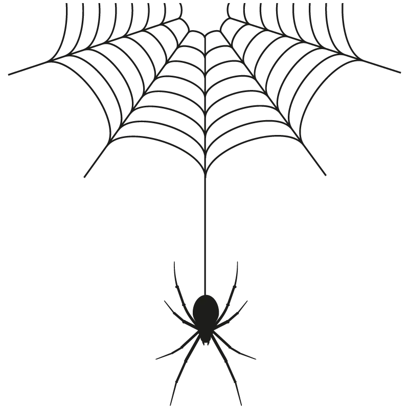 Spider Hanging from a Web Illustration