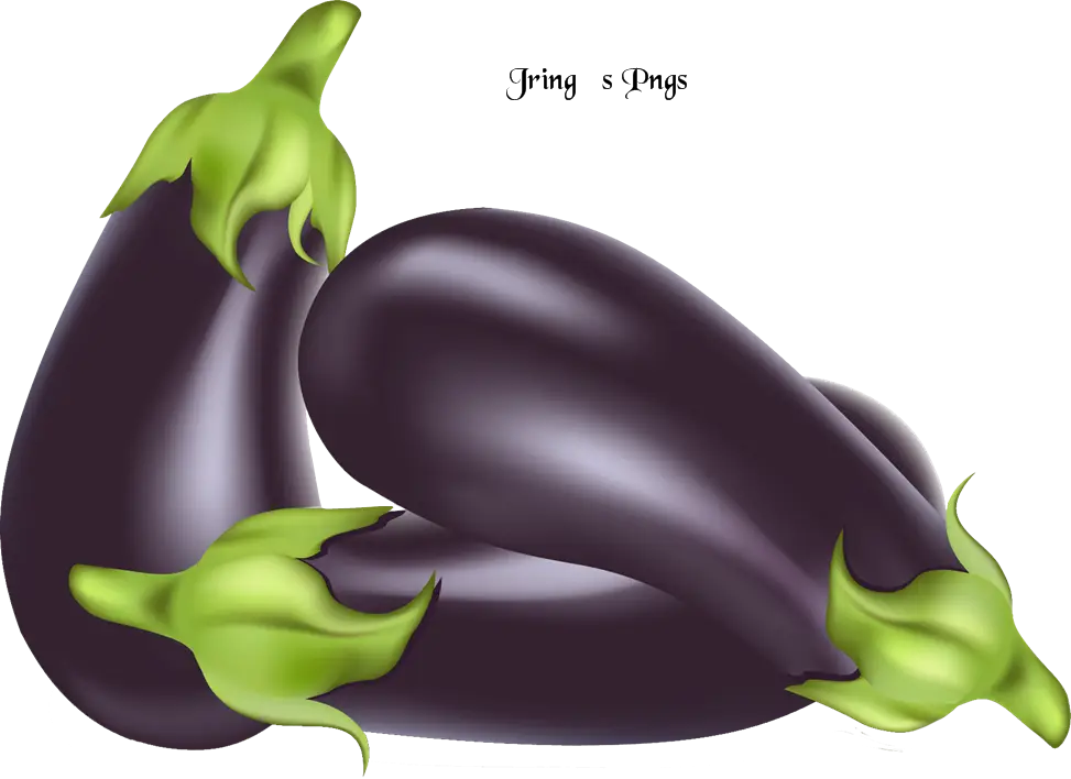 Fresh Purple Eggplants