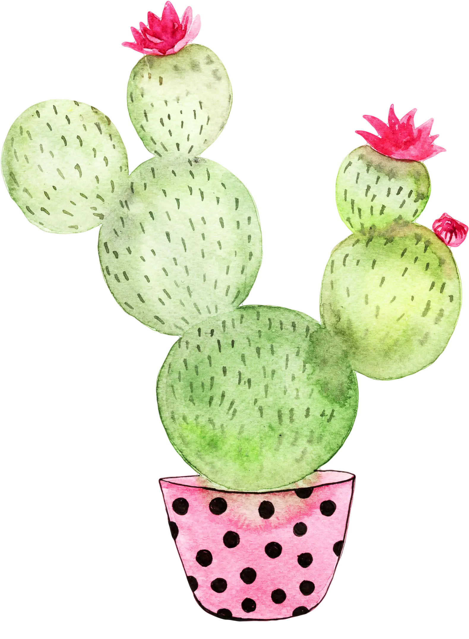 Watercolor Cactus in Pot