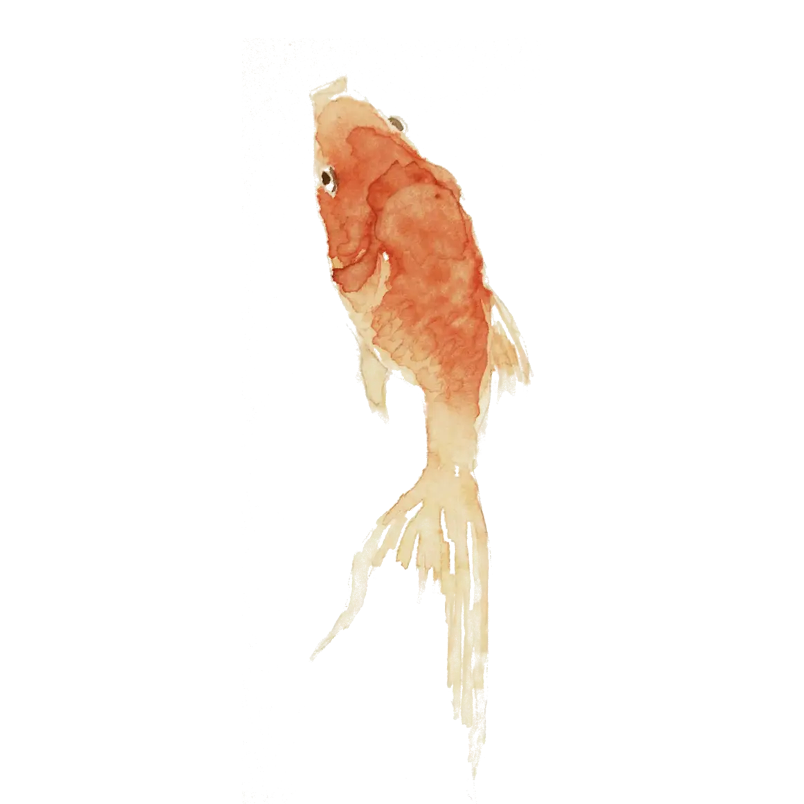 Orange Watercolor Fish