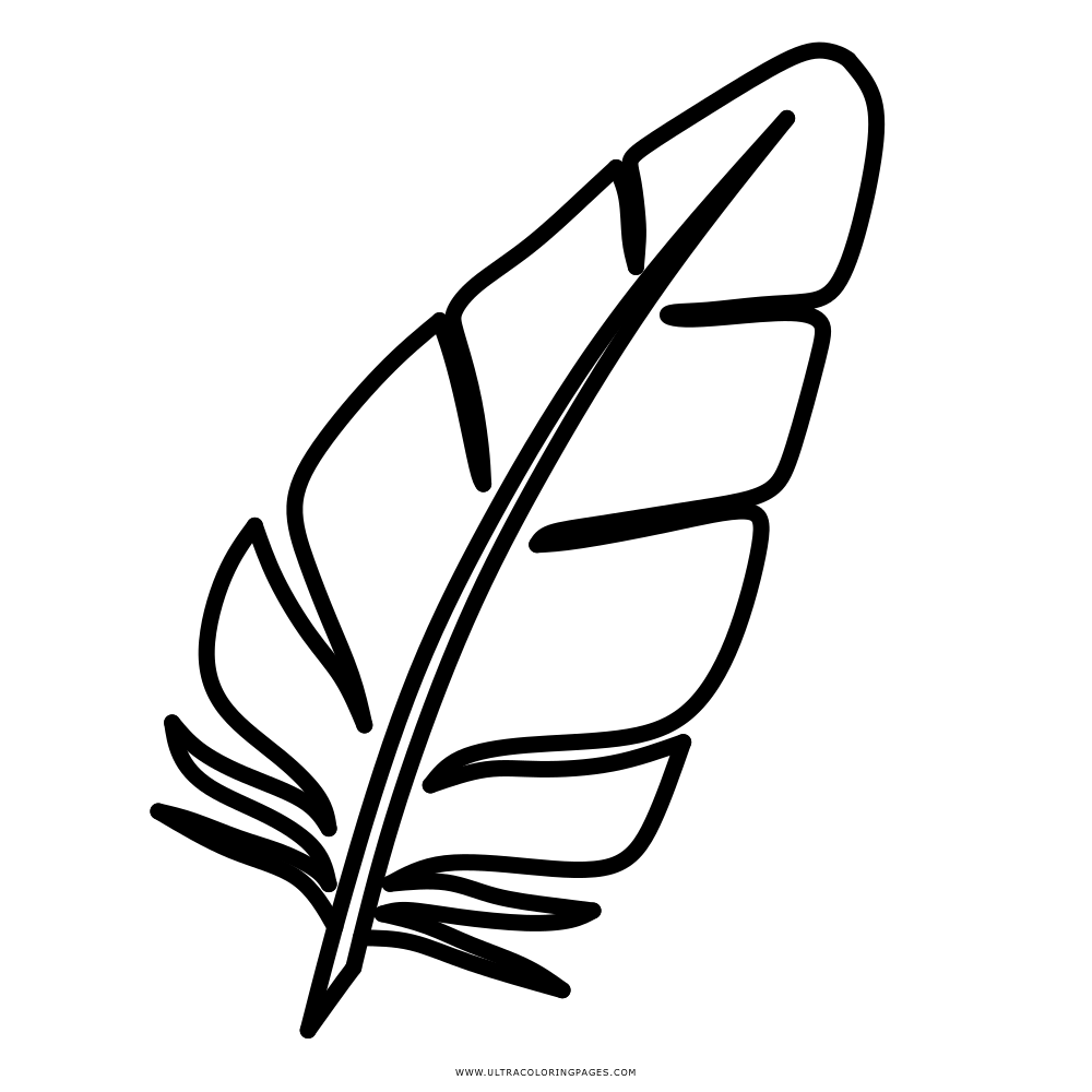 Black Outline Feather in Minimalist Style