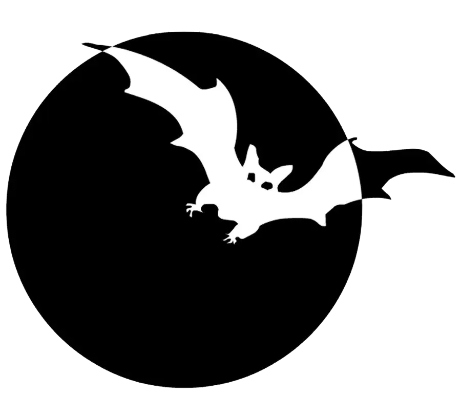 Bat Silhouette Against Moon