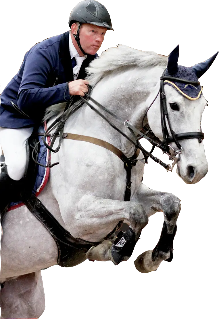Equestrian Horse Rider