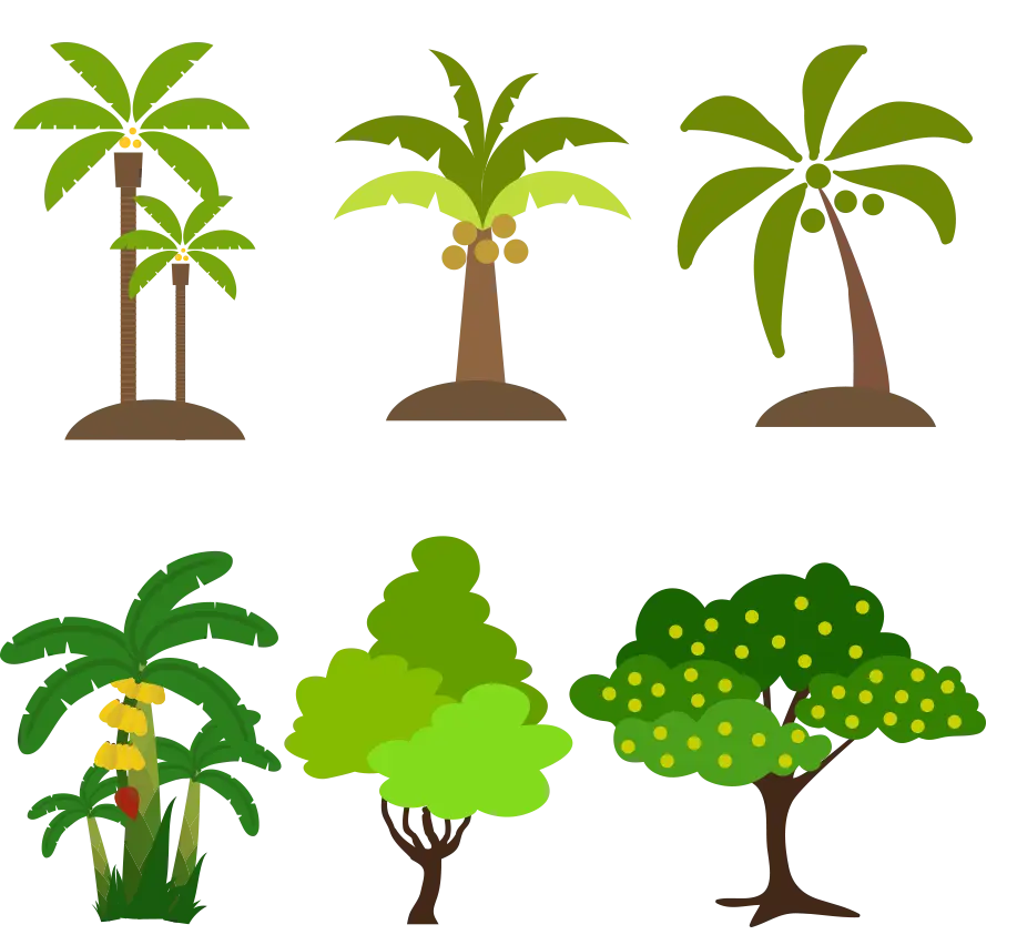 Tropical Trees Illustration