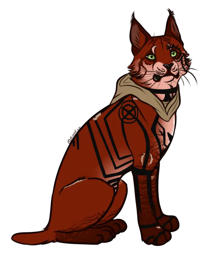 Stylish Cartoon Cat with Unique Patterns