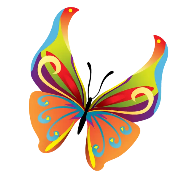 Colorful Butterfly Art Illustration