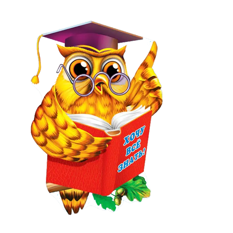 Cartoon Owl Reading a Book Illustration