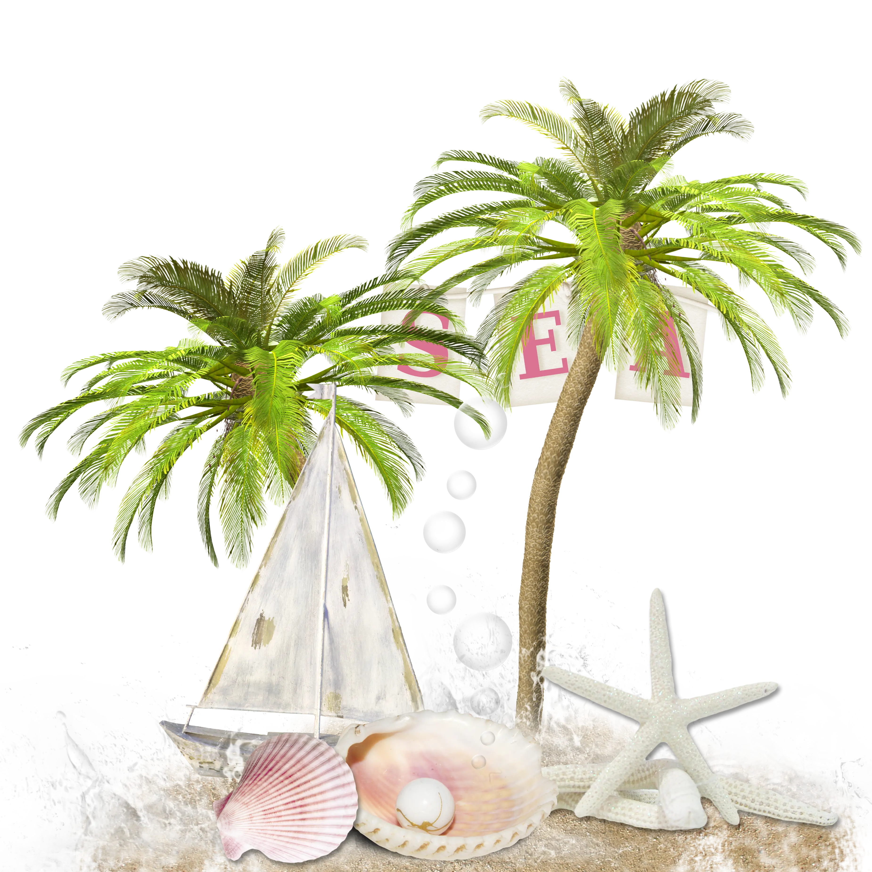 Tropical Palm Trees on the Beach