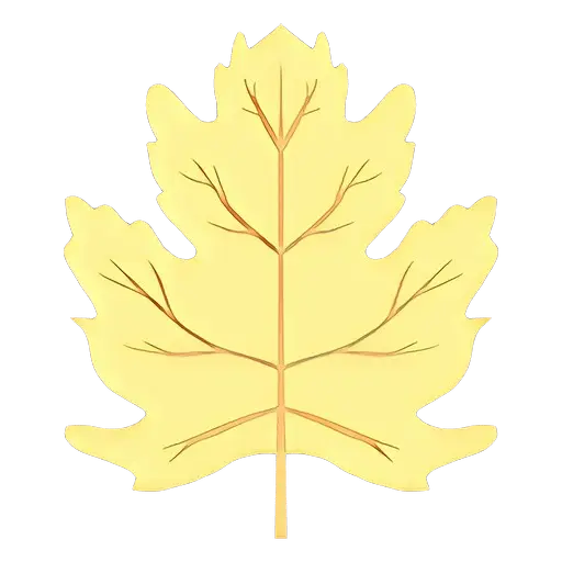 Yellow Maple Leaf Illustration