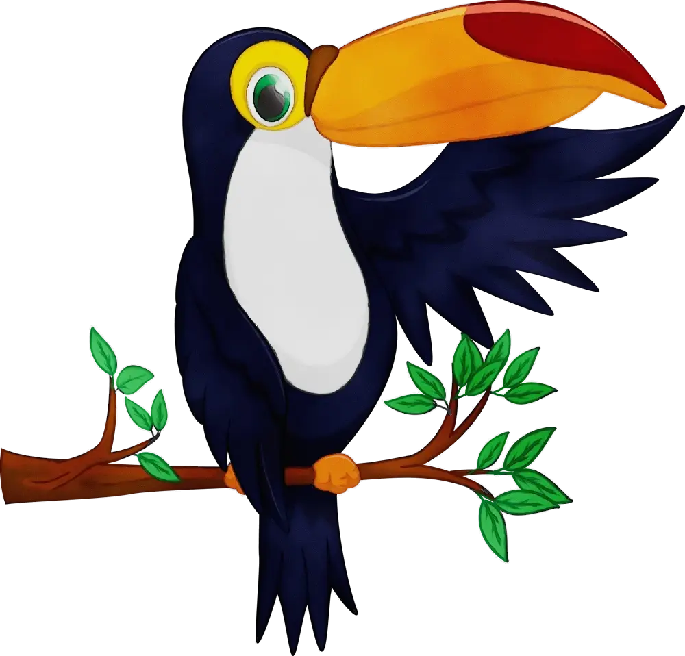 Cartoon Toucan Sitting on a Branch
