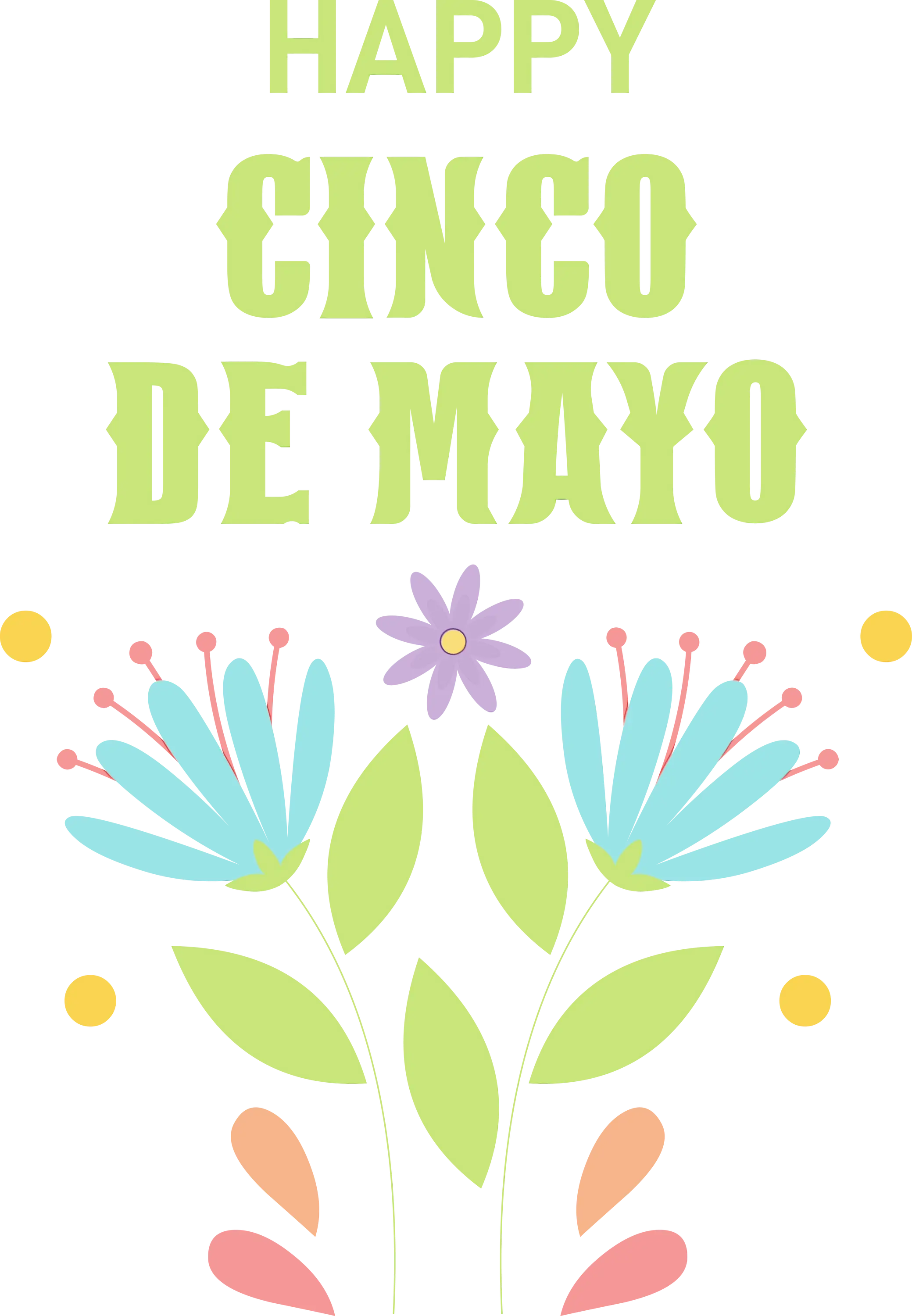 Colorful Cinco de Mayo Design with Flowers and Text