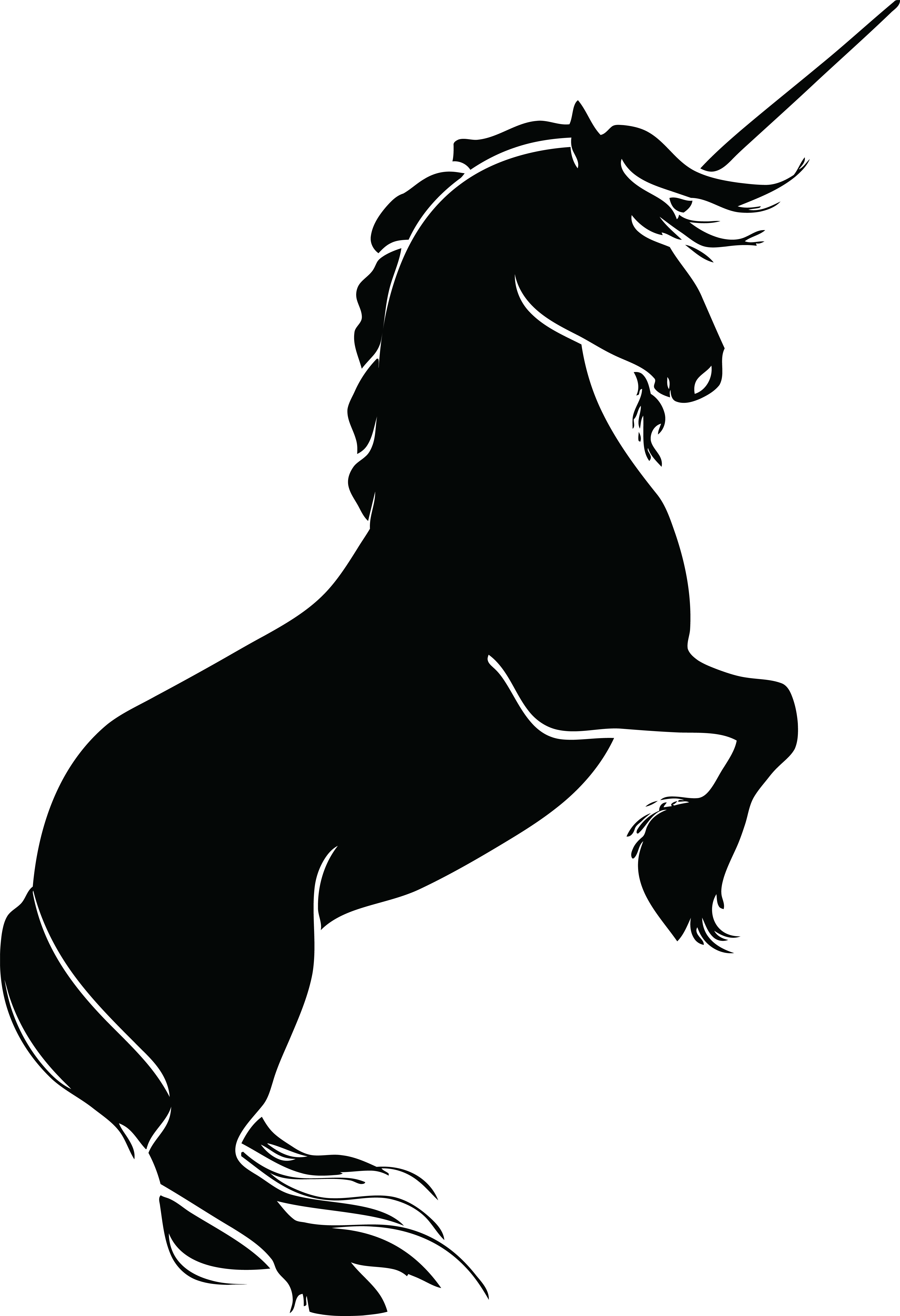 Black Unicorn Silhouette Illustration