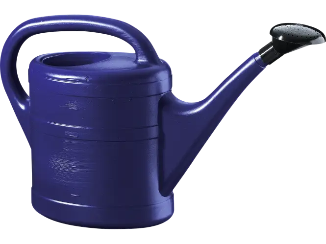 Blue Watering Can