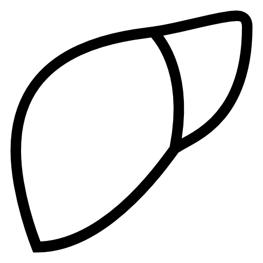 Simple Liver Anatomy Outline Illustration