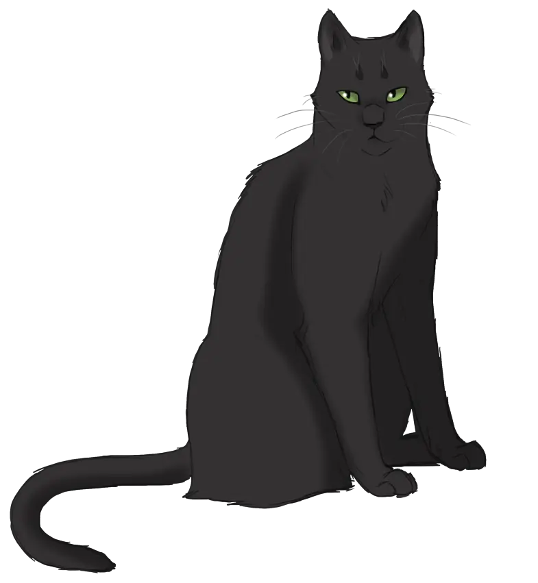 Black Cat Illustration with Green Eyes