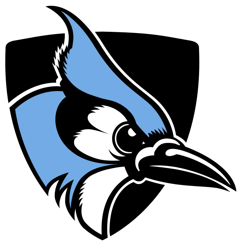 Blue Jay Logo Design