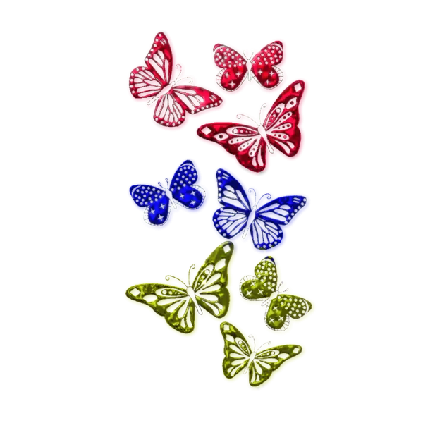 Colorful Patterned Butterflies
