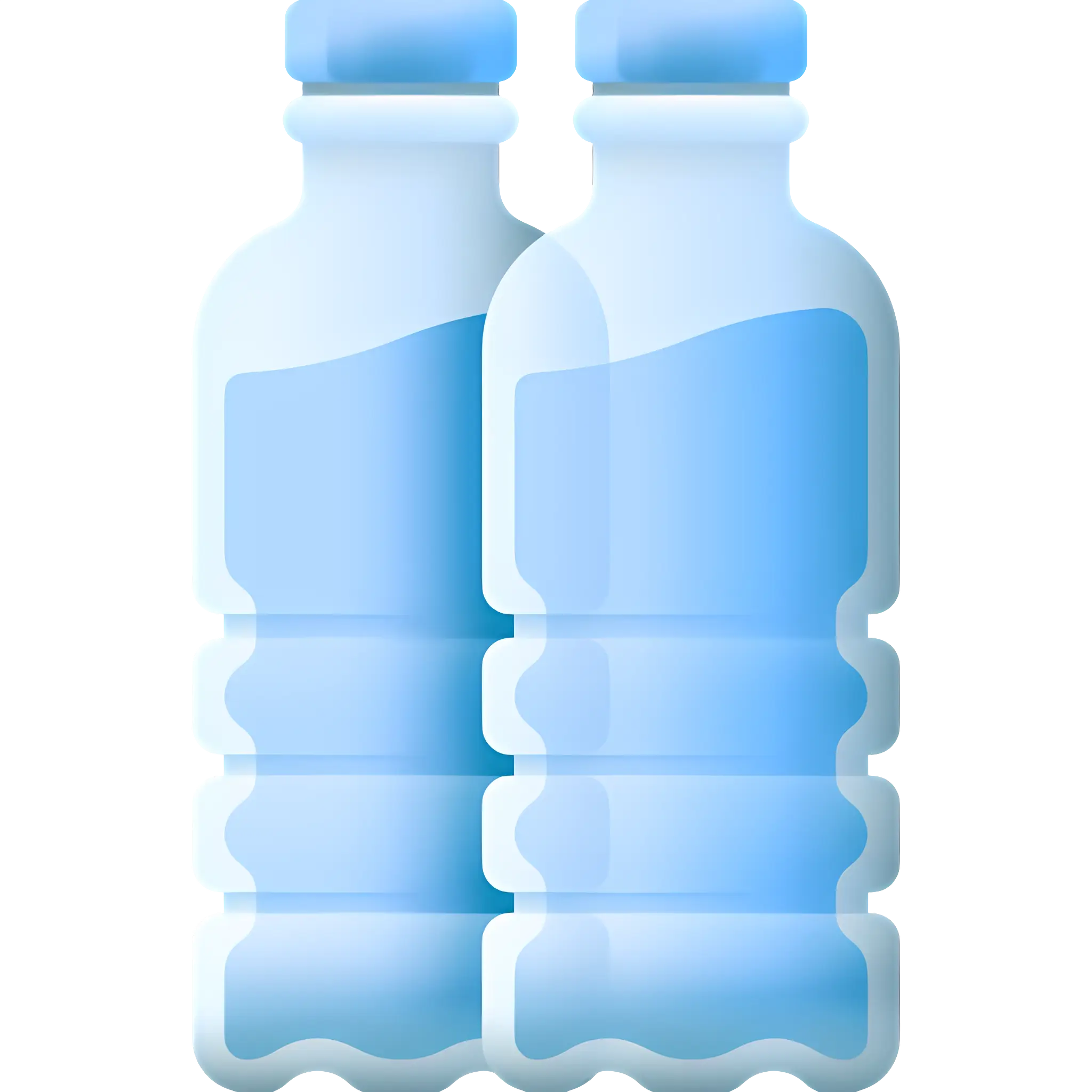 Pair of Water Bottles