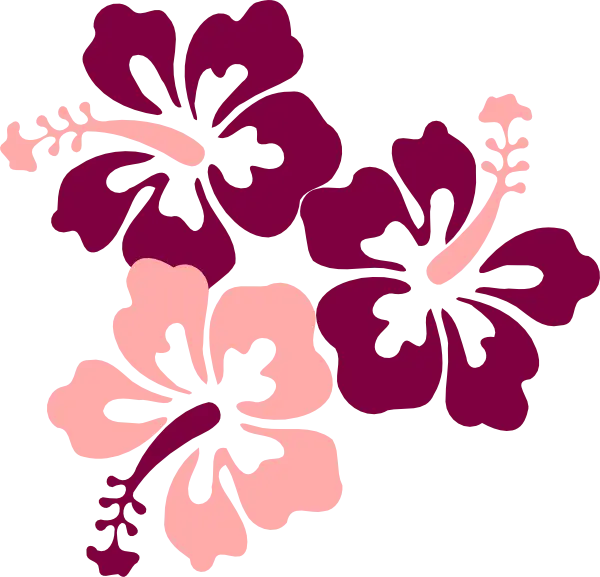 Vibrant Hibiscus Flowers Illustration