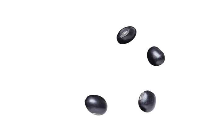 Healthy Black Beans
