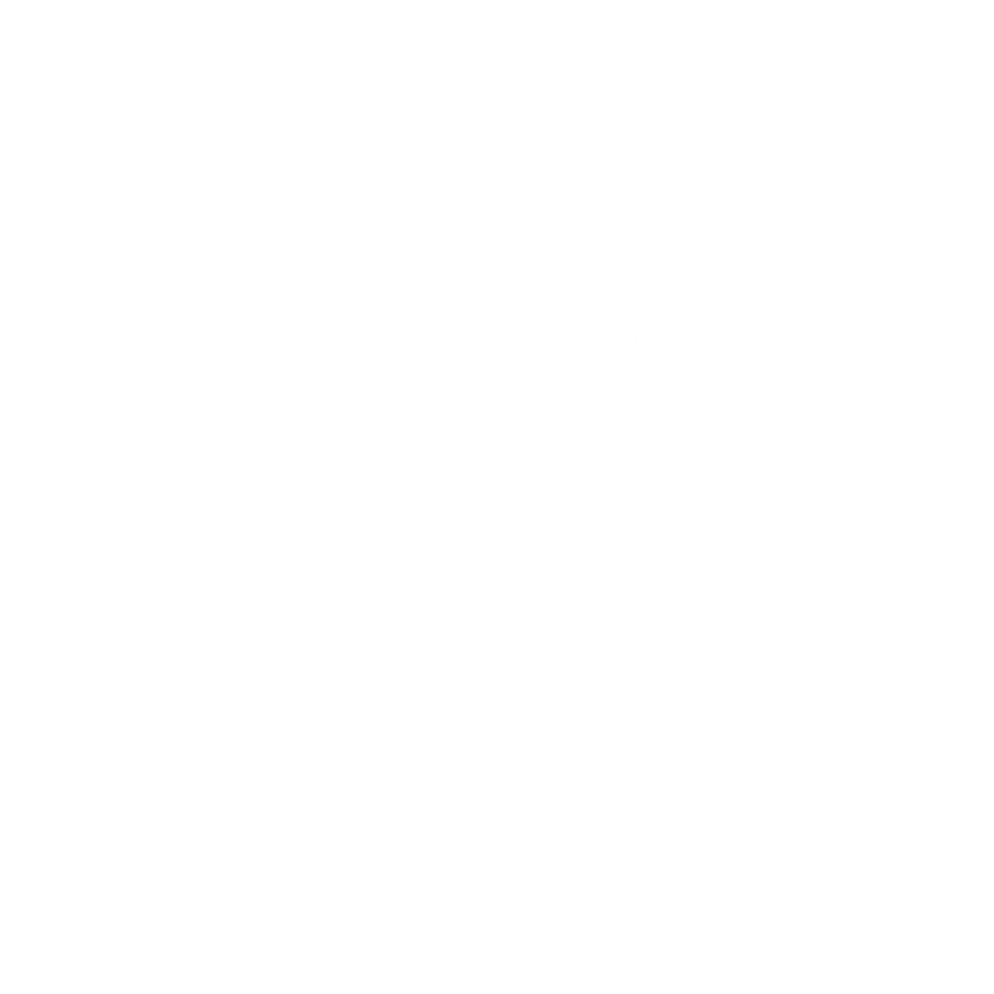WordPress Logo for Web Design and Blogging