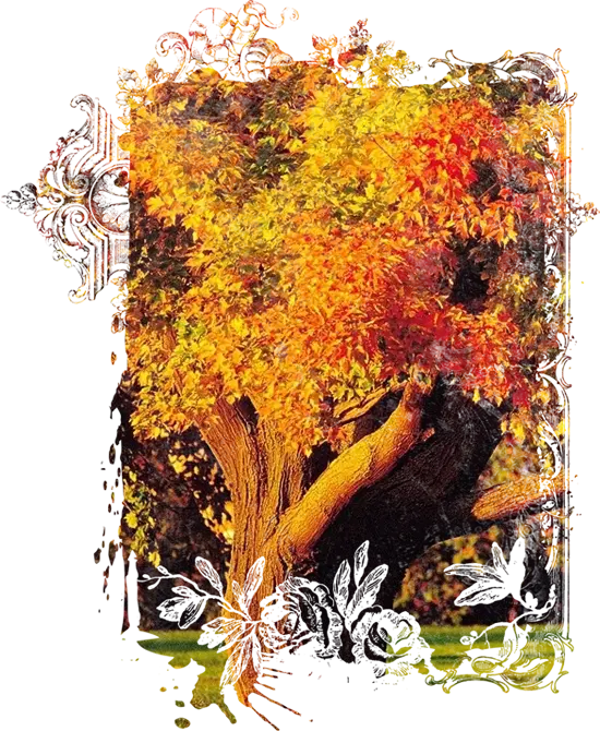 Autumn Tree Art