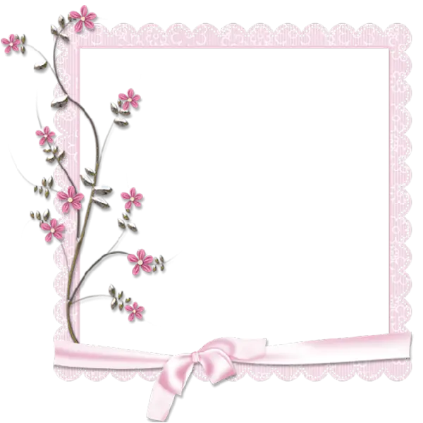 Decorative Pink Floral Frame