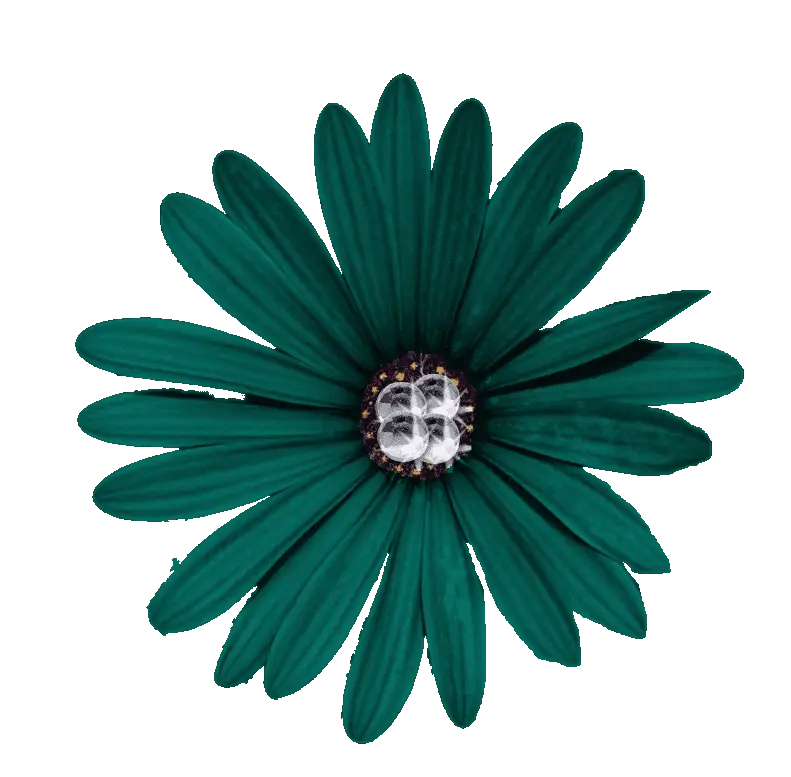 Green Petal Flower with Gem Center