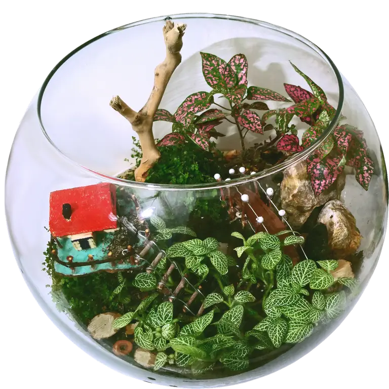 Glass Bowl Terrarium with Miniature House