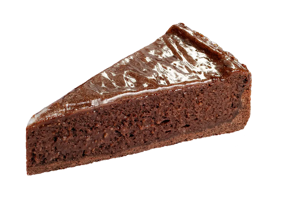 Delicious Chocolate Cake Slice