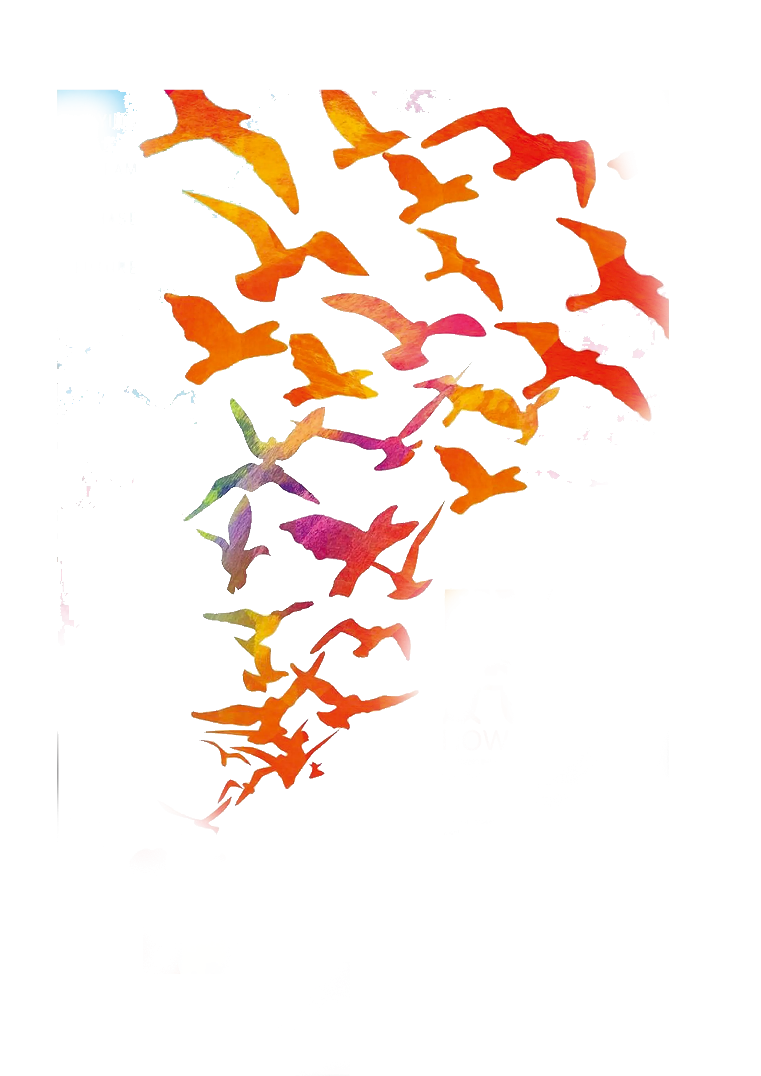 Colorful Birds in Flight