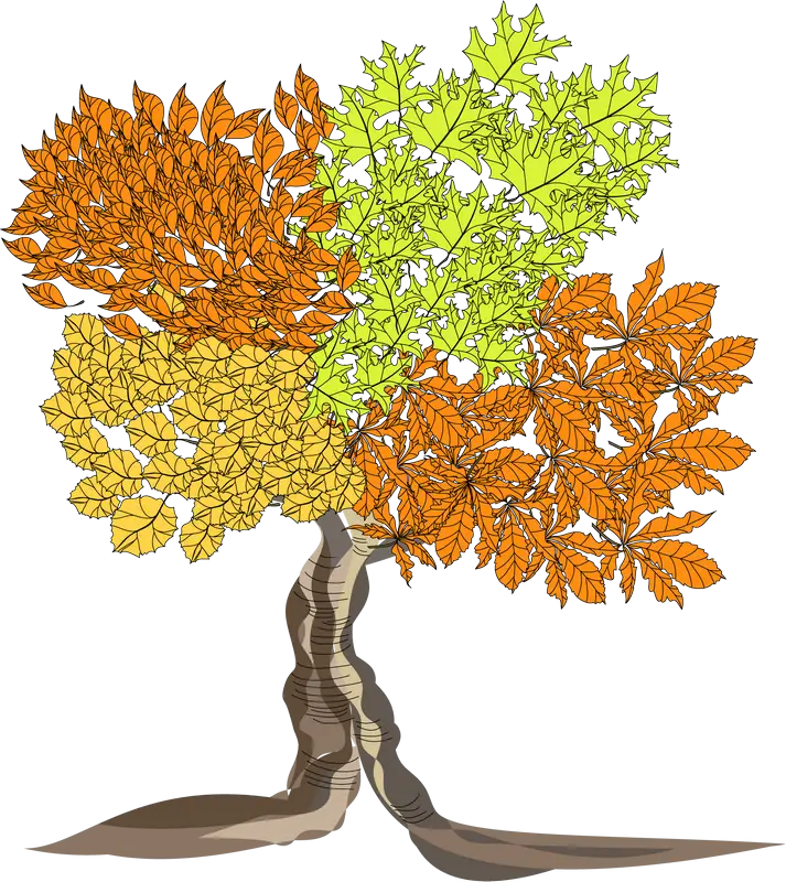 Colorful Tree with Seasonal Leaves