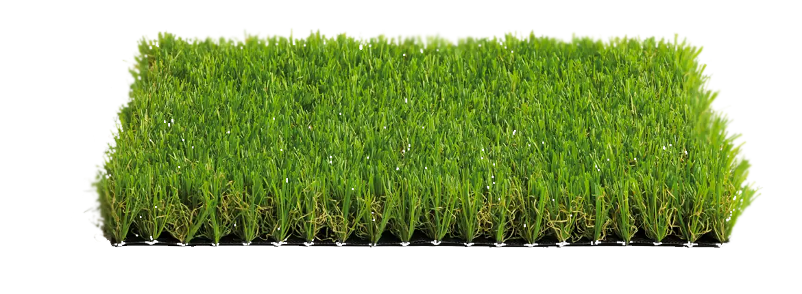Lush Green Grass Patch