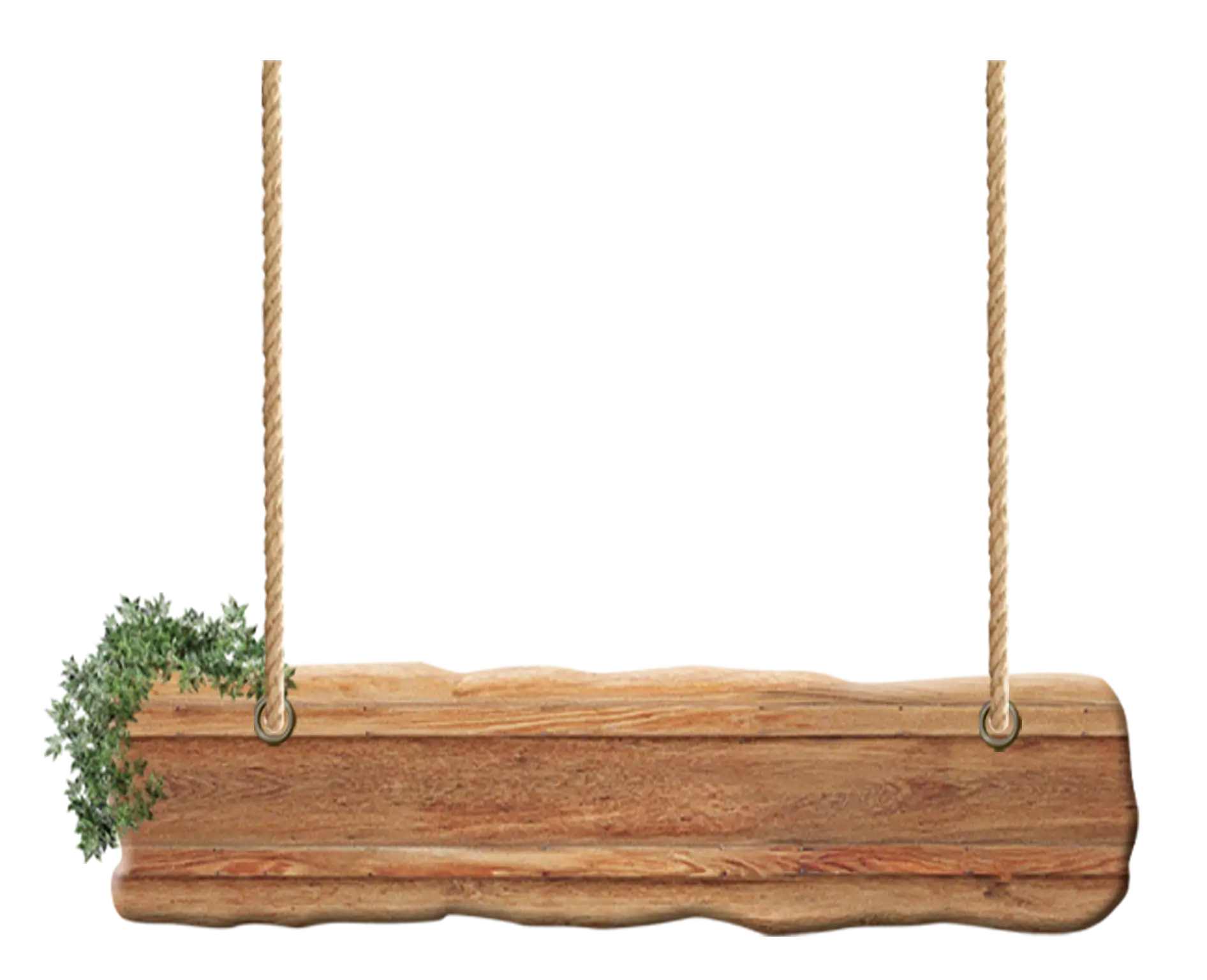 Rustic Wooden Swing with Rope
