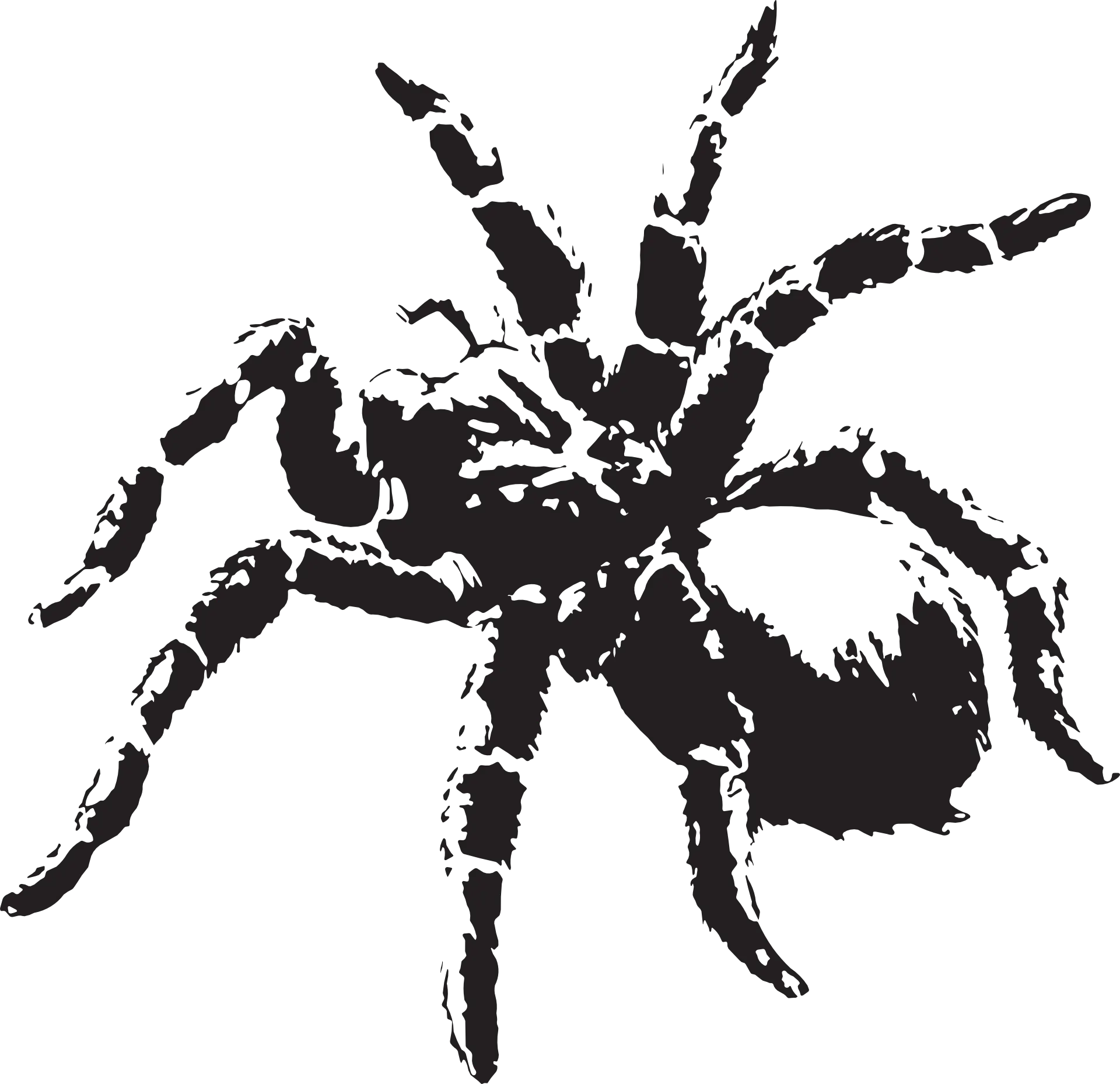 Black Spider Silhouette Illustration