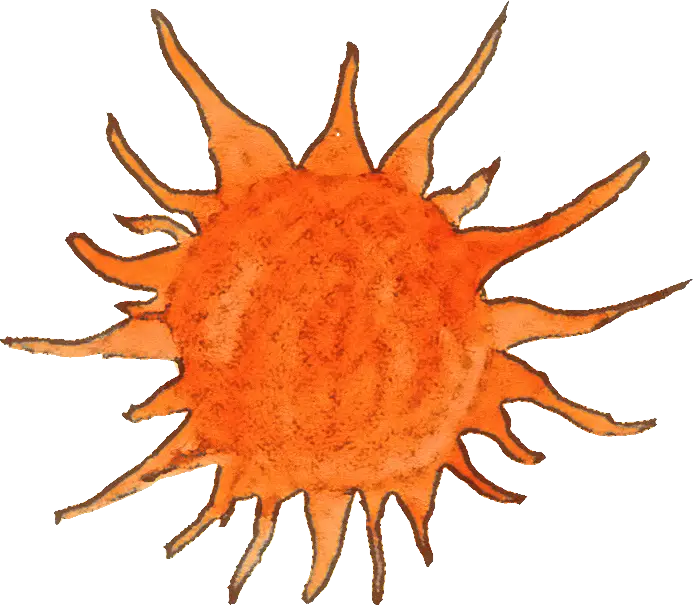 Orange Sun Illustration