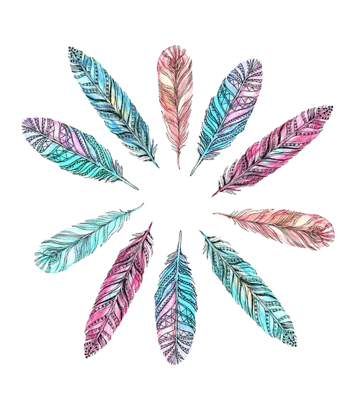 Colorful Feather Art