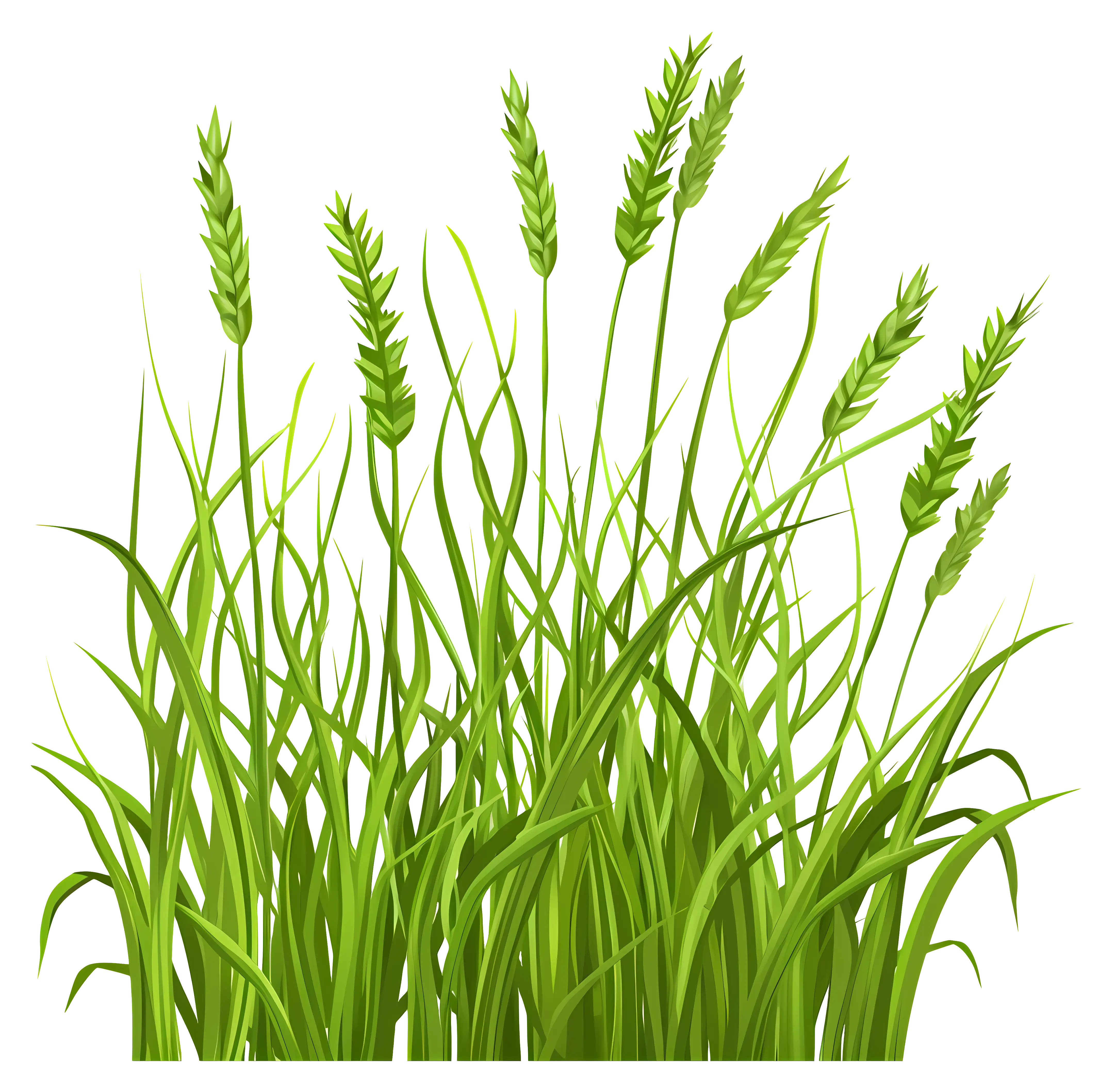 Green Grass Blades