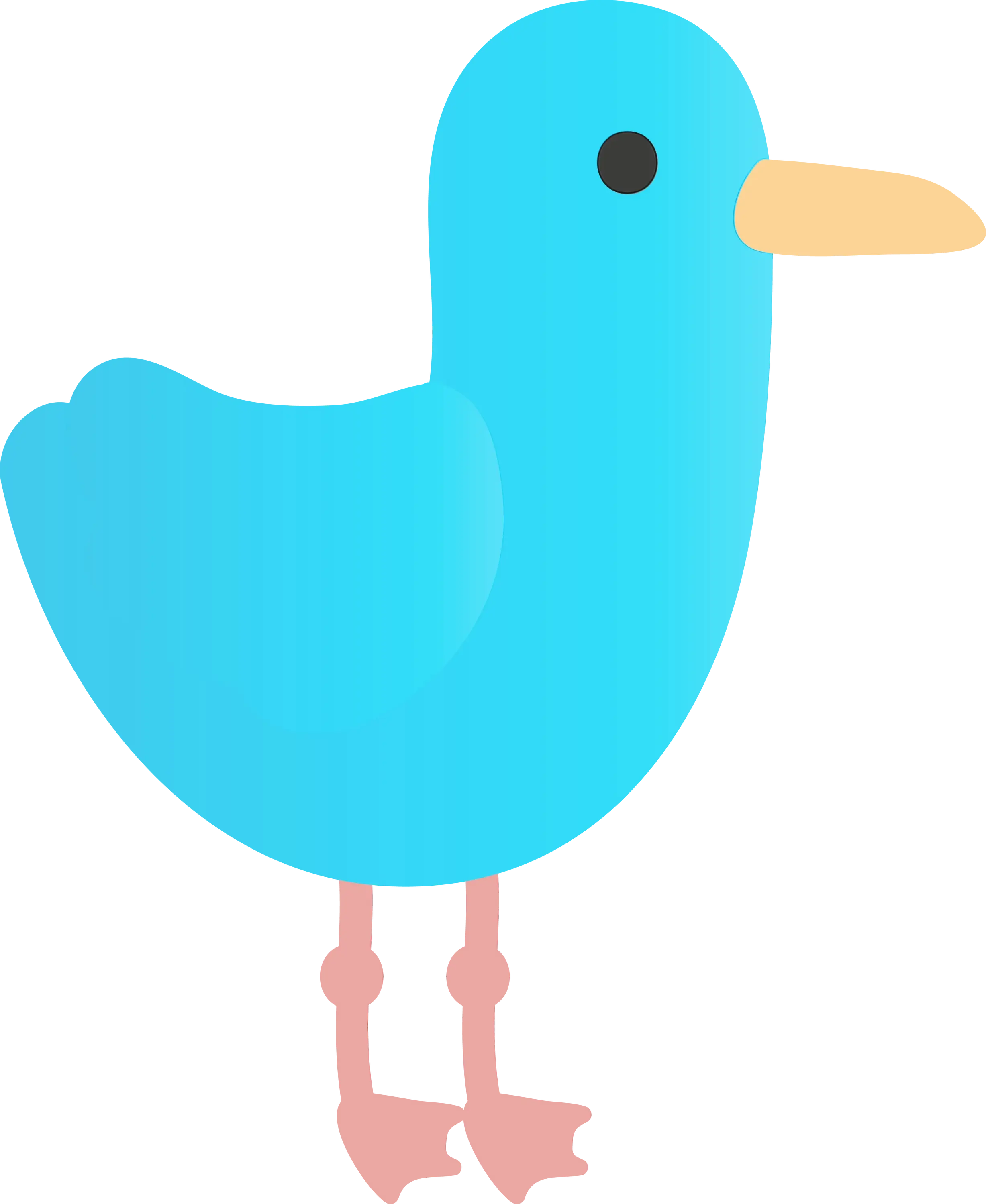 Blue Bird Cartoon Illustration