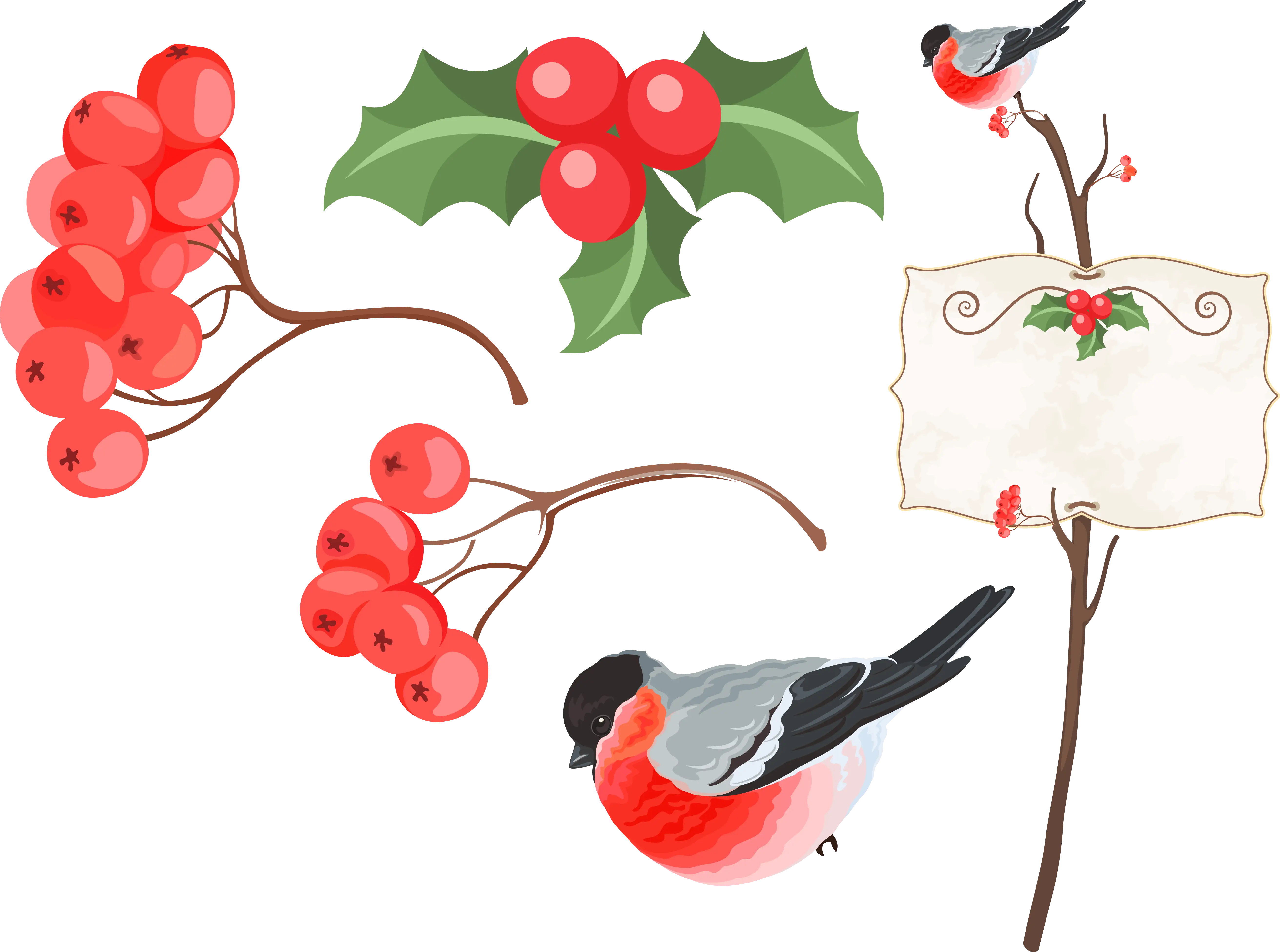 Festive Bird and Holly Berries Illustration