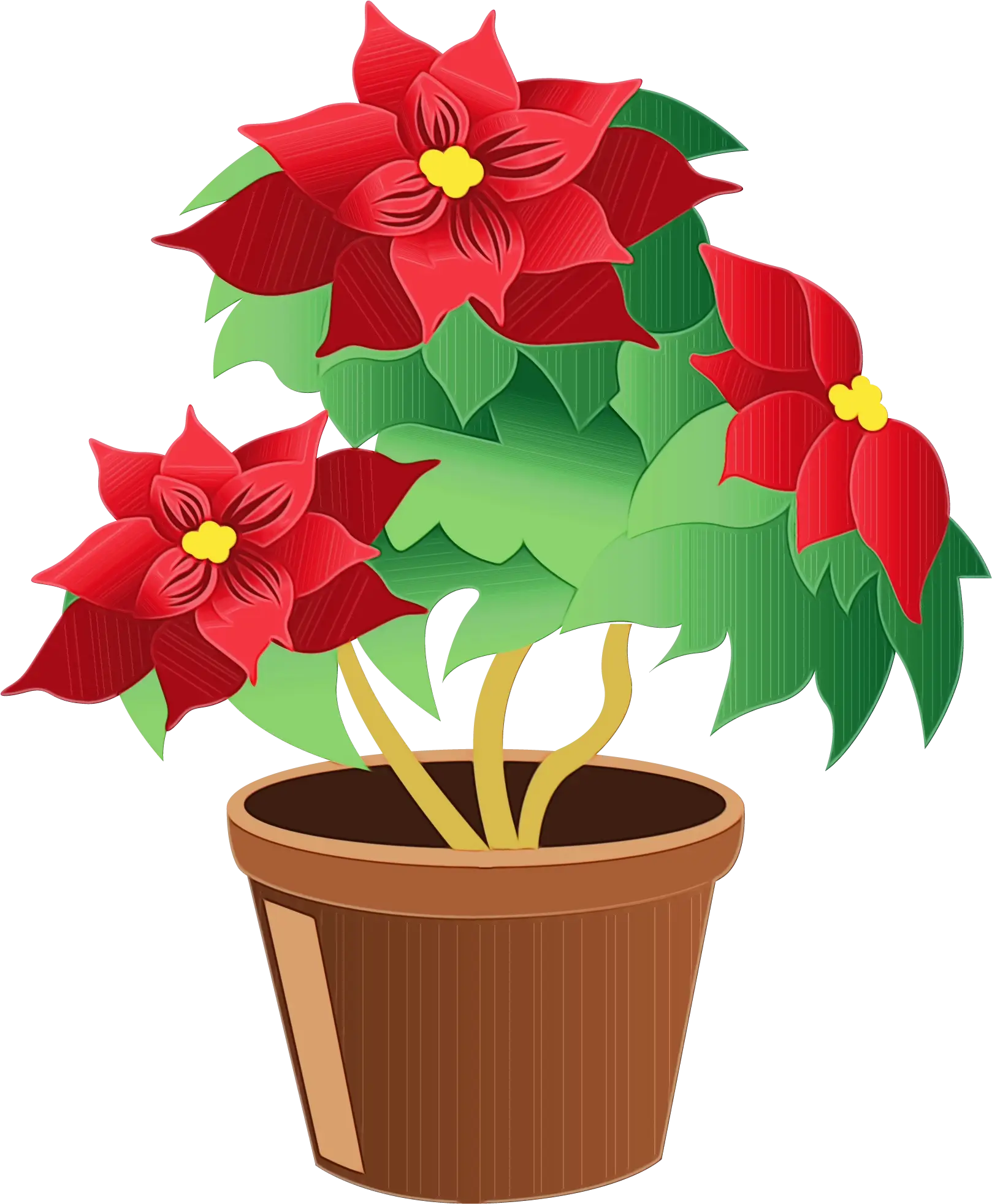 Red Poinsettia Plant in Pot
